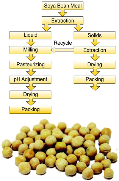 soya-processing-plant